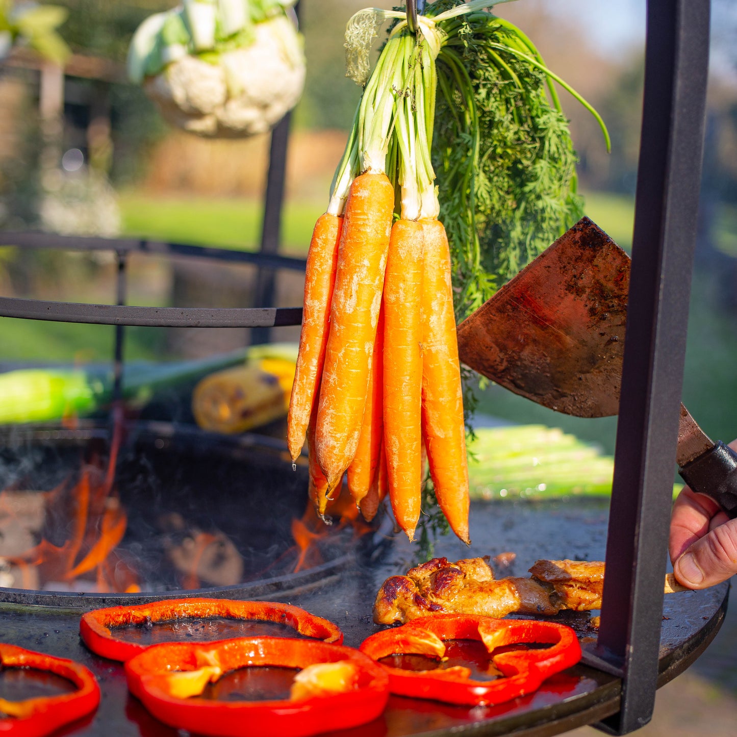 BBQ Plancha Cage 80cm Ø